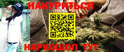 крисы Краснознаменск
