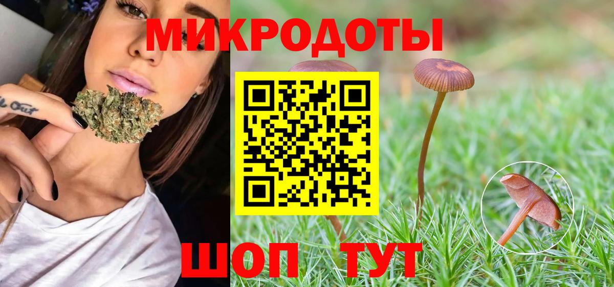 Галлюциногенные грибы Psilocybine cubensis Краснокаменск