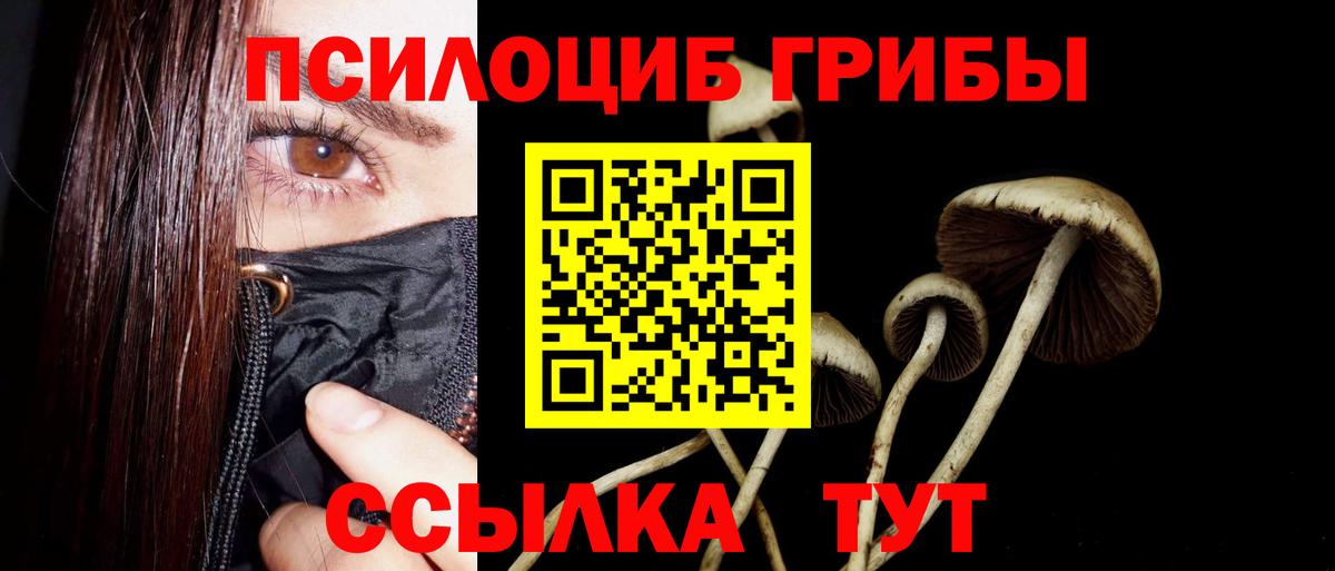Краснокаменск  Псилоцибиновые грибы ЛСД  Вход с VPN 